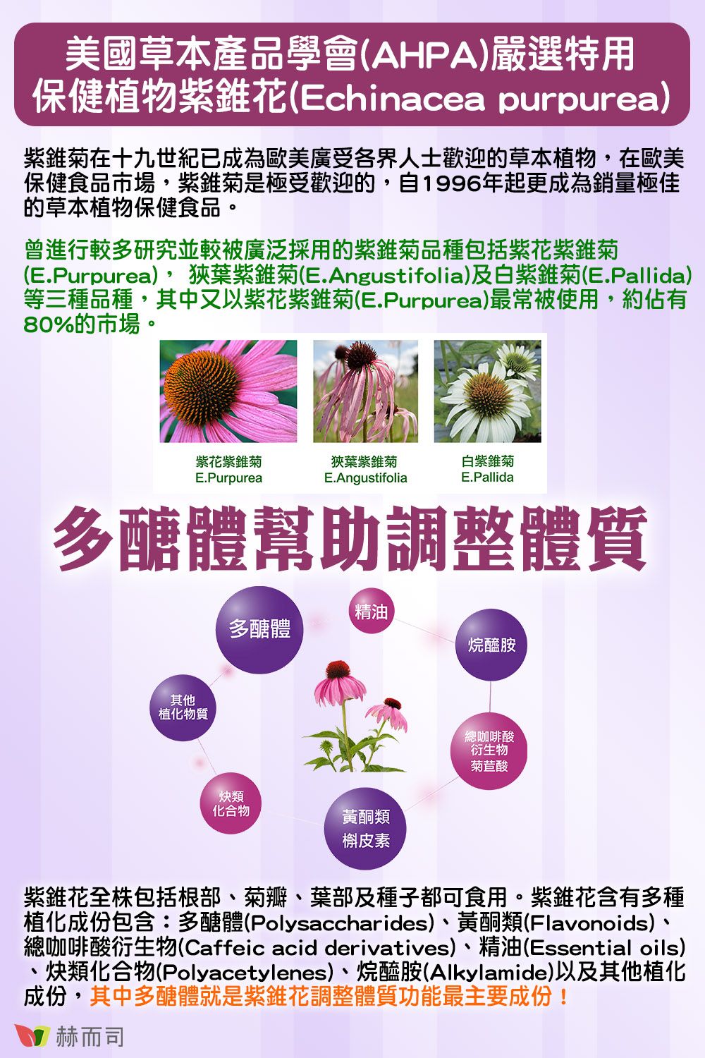 美國草本產品學會AHPA)嚴選特用保健植物紫錐花(Echinacea purpurea)紫錐在十九世紀已成為歐美廣受各界人士歡迎的草本植物,在歐美保健食品市場,紫錐菊是極受歡迎的,自1996年起更成為銷量極佳的草本植物保健食品。曾進行較多研究並較被廣泛採用的紫錐菊品種包括紫花紫錐菊(E.Purpurea),狹葉紫錐菊(E.Angustifolia)及白紫錐菊(E.Pallida)等三種品種,其中又以紫花紫錐菊(E.Purpurea)最常被使用,約佔有80%的市場。紫紫錐菊E.Purpurea狹葉紫錐菊E.Angustifolia白紫錐菊E.Pallida多醣體幫助調整體質其他植化物質精油多醣體烷醯胺類化合物黃酮類總咖啡酸衍生物菊苣酸槲皮素紫錐花包括根部菊瓣、葉部及種子都可食用。紫錐花含有多種植化成份包含:多醣體(Polysaccharides)、黃酮類(Flavonoids)、總咖啡酸衍生物(Caffeic acid derivatives)、精油(Essential oils)、類化合物(Polyacetylenes)、烷醯胺(Alkylamide)以及其他植化成份,其中多醣體就是紫錐花調整體質功能最主要成份!赫而司