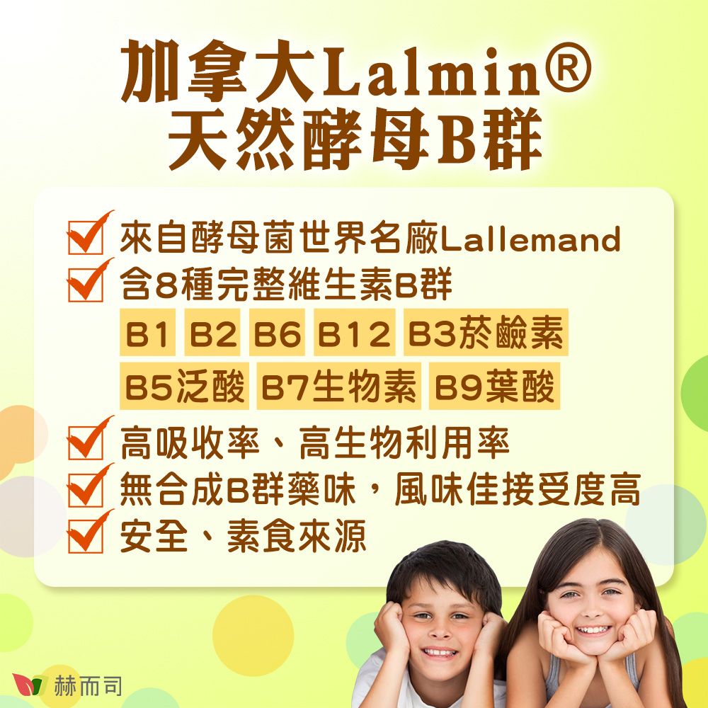 赫而司加拿大Lalmin®天然酵母B群來自酵母菌世界名廠Lallemand含8種完整維生素B群B1 B2 B6 B12 B3菸鹼素B5泛酸 B7生物素 B9葉酸高吸收率、高生物利用率無合成B群藥味,風味佳接受度高安全、素食來源