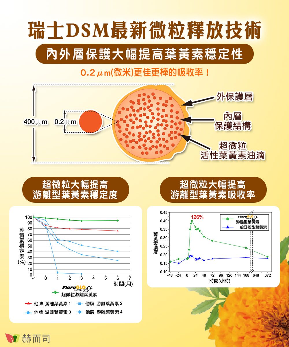 瑞士DSM最新微粒釋放技術內外層保護大幅提高定性.2(微米)更佳更棒的吸收率!400 u m 0.2um超微粒大幅提高游離型葉黃素穩定度1008070素 60穩 50定 40度 (%) 200 012 3456FloraGLO時間(月)LUTEIN超微粒游離葉黃素 牌 游離葉黃素他牌 游離葉黃素2 他牌 游離葉黃素3他牌 游離葉黃素4赫而司葉黃素外保護層內層保護結構超微粒活性葉黃素油滴超微粒大幅提高游離型葉黃素吸收率0.45126%Flora0.40-游離型葉黃素一般游離型葉黃素0.35-0.300.25-0.20-0.150.10-48 -24 024 48 72 96 120 144 168 648 672時間(小時)