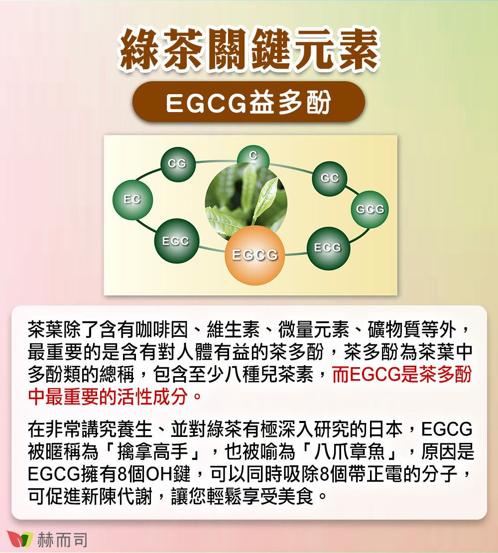 綠茶關鍵元素EGG益多酚ECCCGGCGCGEGCECGEGCG茶葉除了含有咖啡因、維生素、微量元素、礦物質等外,最重要的是含有對人體有益的茶多酚,茶多酚為茶葉中多酚類的總稱,包含至少八種兒茶素,而EGCG是茶多酚中最重要的活性成分。在非常講究養生、並對綠茶有極深入研究的日本,EGCG被暱稱為「擒拿高手」,也被喻為「八爪章魚」,原因是EGCG擁有8個OH鍵,可以同時吸除8個帶正電的分子,可促進新陳代謝,讓您輕鬆享受美食。赫而司