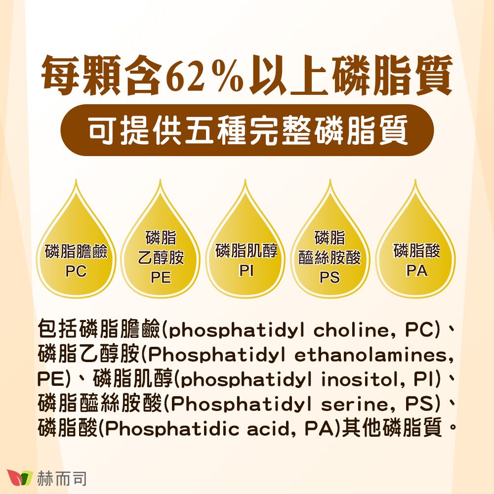 每顆含62%以上磷脂質可提供五種完整磷脂質磷脂磷脂磷脂膽鹼PC乙醇胺PE磷脂肌醇醯絲胺酸PS磷脂酸PA包括磷脂膽鹼(phosphatidyl choline, PC)磷脂乙醇胺(Phosphatidyl ethanolamines,PE)、磷脂肌醇(phosphatidyl inositol, PI)、磷脂醯絲胺酸(Phosphatidyl serine, PS)磷脂酸(Phosphatidic acid, PA)其他磷脂質。赫而司