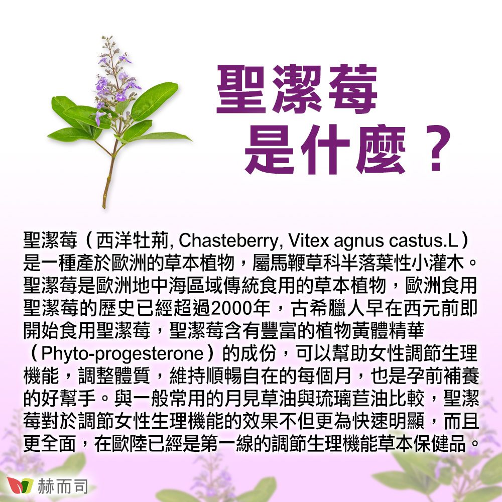 聖潔莓是什麼?聖潔莓(西洋牡 Chasteberry, Vitex agnus castus.L)是一種產於歐洲的草本植物,屬馬鞭草科半落葉性小灌木。聖潔莓是歐洲地中海區域傳統食用的草本植物,歐洲食用聖潔莓的歷史已經超過2000年,古希臘人早在西元前即開始食用聖潔莓,聖潔莓含有豐富的植物黃體精華(Phyto-progesterone)的成份,可以幫助女性調節生理機能,調整體質,維持順暢自在的每個月,也是孕前補養的好幫手。與一般常用的月見草油與琉璃苣油比較,聖潔莓對於調節女性生理機能的效果不但更為快速明顯,而且更全面,在歐陸已經是第一線的調節生理機能草本保健品。赫而司