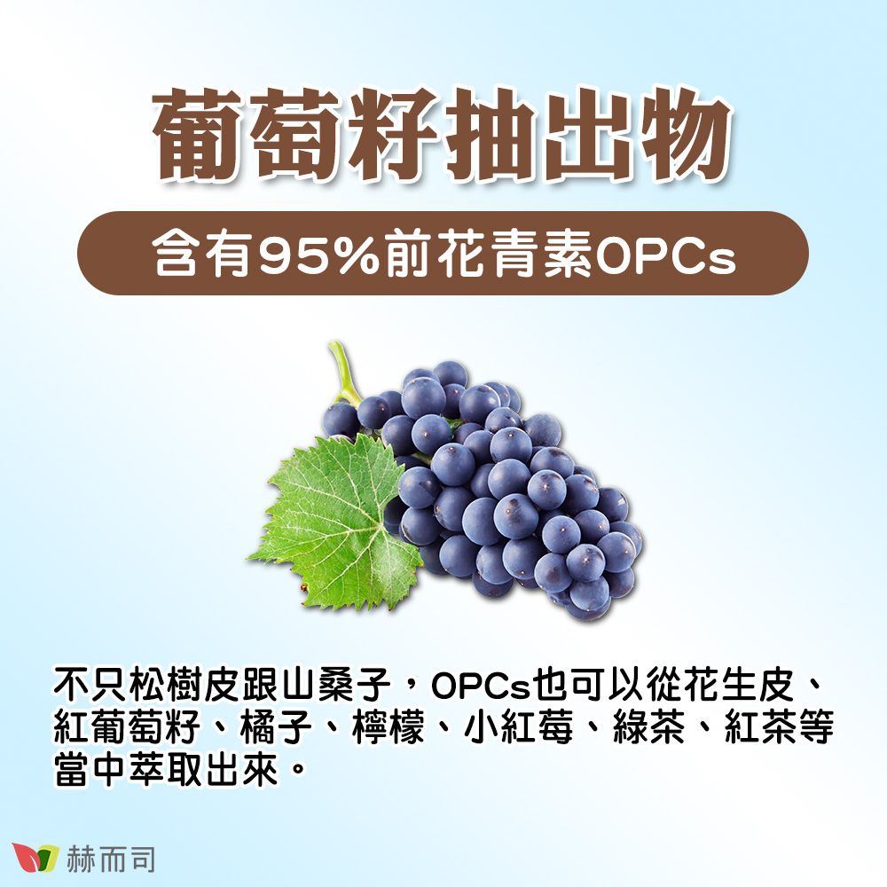 葡萄籽抽出物含有95%前花青素OPCS不只松樹皮跟山桑子,OPCs也可以從花生皮、紅葡萄籽、橘子、檸檬、小紅莓、綠茶、紅茶等當中萃取出來。赫而司