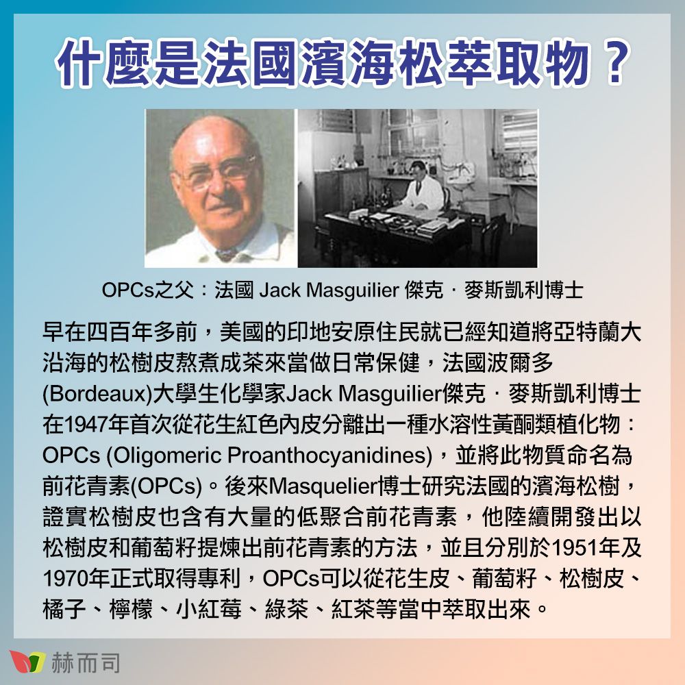 什麼是法國濱海松萃取物?OPCs之父:法國Jack Masguilier傑克·麥斯凱利博士早在四百年多前,美國的印地安原住民就已經知道將亞特蘭大沿海的松樹皮熬煮成茶來當做日常保健,法國波爾多(Bordeaux)大學生化學家Jack Masguilier傑克·麥斯凱利博士在1947年首次從花生紅色內皮分離出一種水溶性黃酮類植化物:OPCs (Oligomeric Proanthocyanidines),並將此物質命名為前花青素(OPCs)。後來Masquelier博士研究法國的濱海松樹,證實松樹皮也含有大量的低聚合前花青素,他陸續開發出以松樹皮和葡萄籽提煉出前花青素的方法,並且分別於1951年及1970年正式取得專利,OPCs可以從花生皮、葡萄籽、松樹皮、橘子、檸檬、小紅莓、綠茶、紅茶等當中萃取出來。赫而司