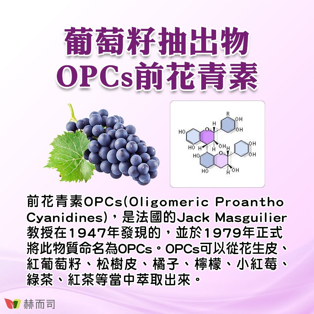 葡萄籽抽出物PCs前花青素OHHOHHO HHOHHOHOHO前花青素OPCs(Oligomeric ProanthoCyanidines),是法國的Jack Masguilier教授在1947年發現的,並於1979年正式將此物質命名為可以從花生皮、紅葡萄籽、松樹皮、橘子、檸檬、小紅莓、綠茶、紅茶等當中萃取出來。赫而司