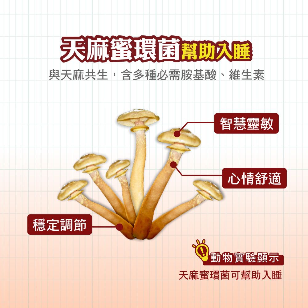 Sun Ten 順天本草 長大人成長膠囊女方(成長膠囊60顆/盒x2+金智慧王30顆)