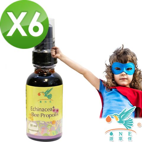 ONE源萃倈 紫錐花噴劑(30ml)x6