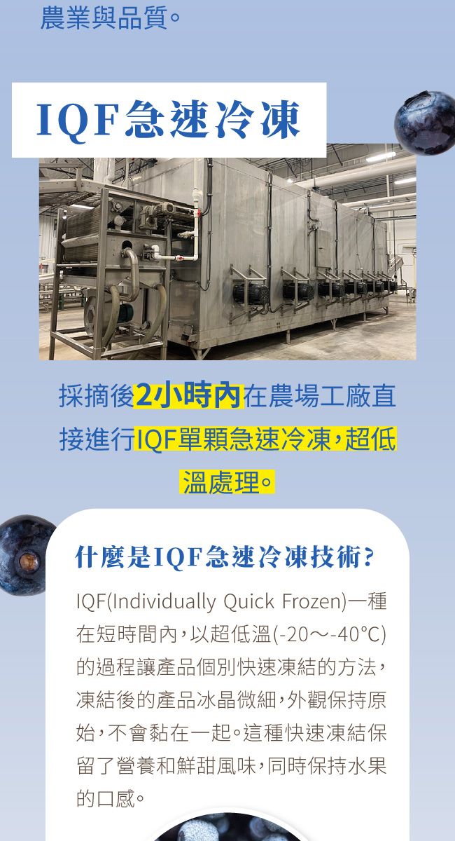 農業與品質。IQF急速冷凍採摘後2小時內在農場工廠直接進行IQF單顆急速冷凍,超低溫處理。什麼是IQF急速冷凍技術?IQF(Individually Quick Frozen)一種在短時間內,以超低溫(-20~-40)的過程讓產品個別快速凍結的方法,凍結後的產品冰晶微細,外觀保持原始,不會黏在一起。這種快速凍結保留了營養和鮮甜風味,同時保持水果的口感。