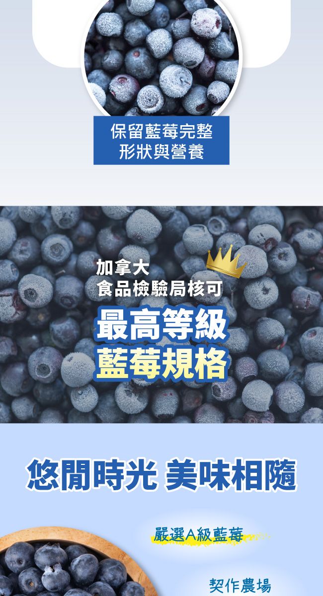 保留藍莓完整形狀與營養加拿大食品檢驗局核可最高等級藍莓規格悠閒時光 美味相隨嚴選A級藍莓契作農場
