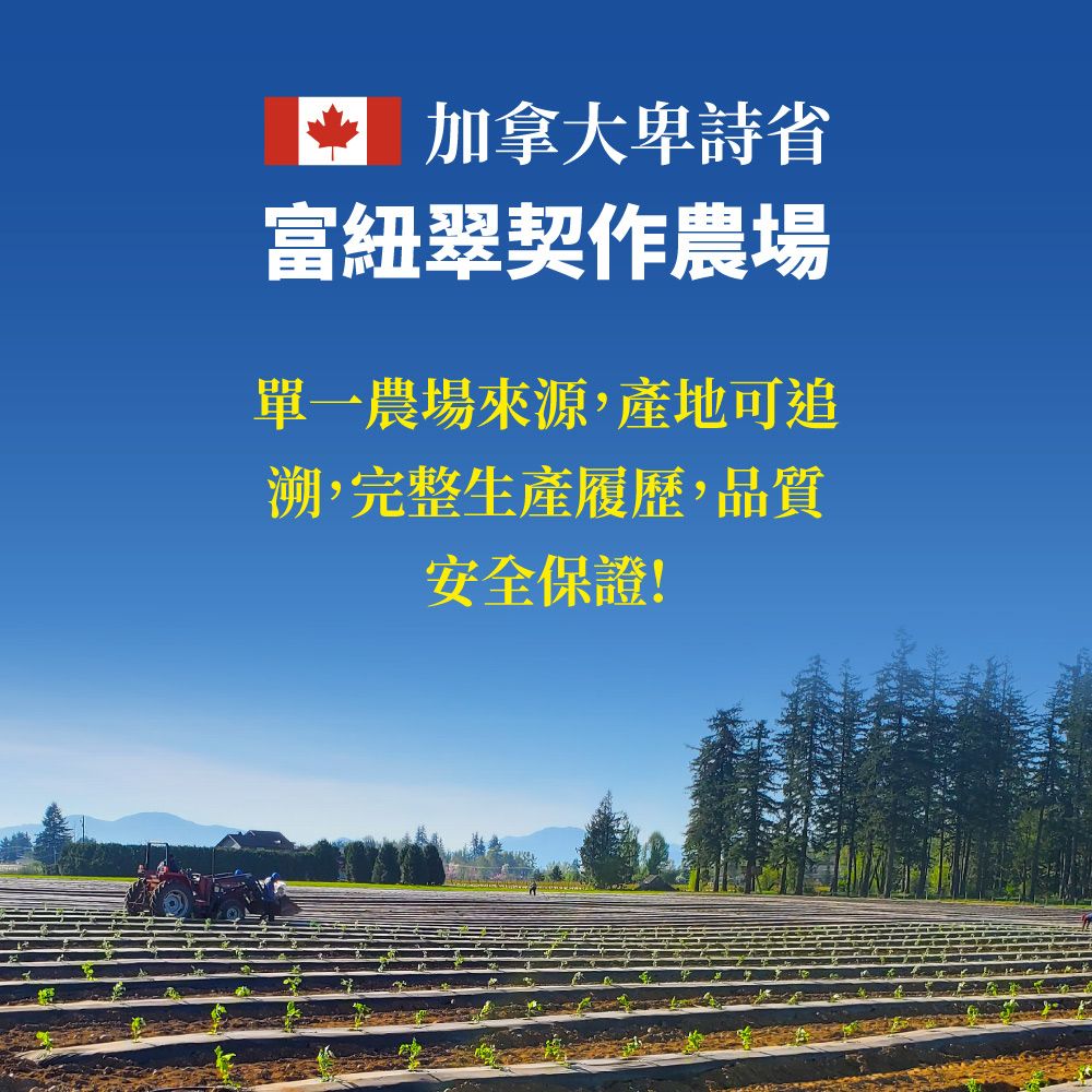 Frenature 富紐翠 加拿大A級冷凍藍莓30磅業務用(13.62kg)