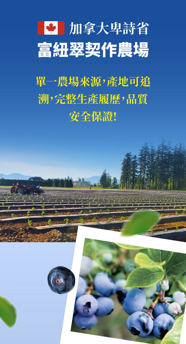 加拿大卑詩省富紐翠契作農場單一農場來源,產地可追溯,完整生產履歷,品質安全保證!