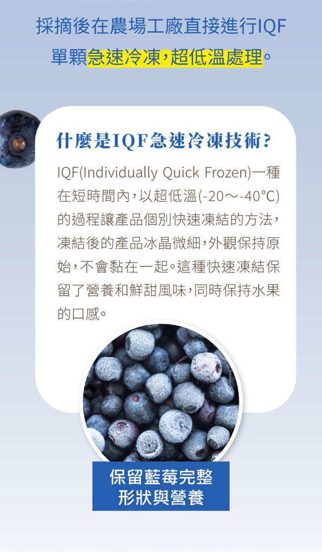 採摘後在農場工廠直接進行IQF單顆急速冷凍,超低溫處理。什麼是IQF急速冷凍技術?IQF(Individually Quick Frozen)一種在短時間內,以超低溫(-20~40℃)的過程讓產品個別快速凍結的方法,凍結後的產品冰晶微細,外觀保持原始,不會黏在一起。這種快速凍結保留了營養和鮮甜風味,同時保持水果的口感。保留藍莓完整形狀與營養