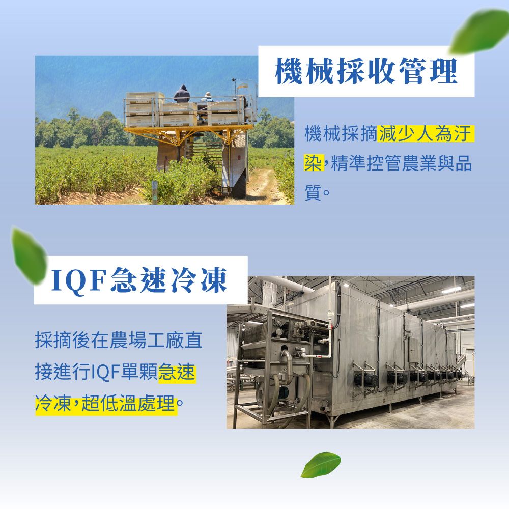 Frenature 富紐翠 加拿大A級冷凍藍莓350gX24包【黑貓冷凍宅配】箱購