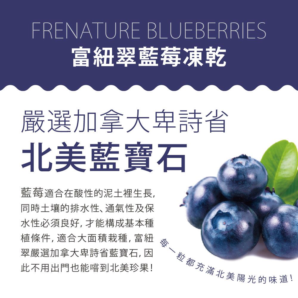  Frenature 富紐翠 加拿大 藍莓凍乾 25g (藍莓果乾)