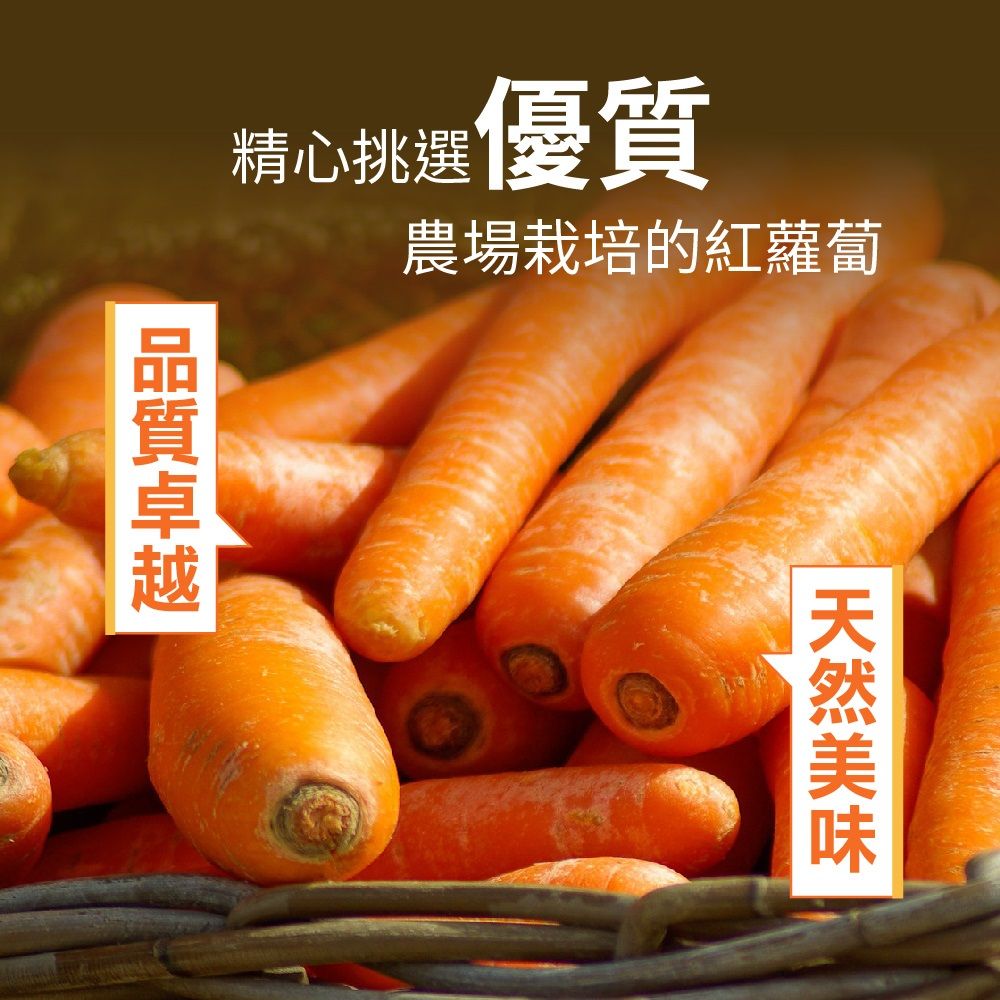 Frenature 富紐翠 紅蘿蔔脆片 40g袋裝