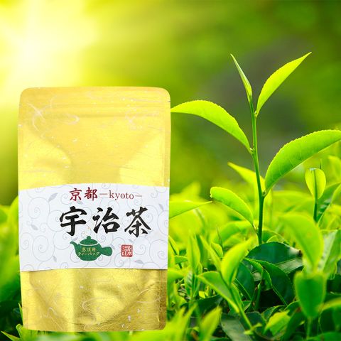 日本藤二 藤二嚴選宇治煎茶茶包80g