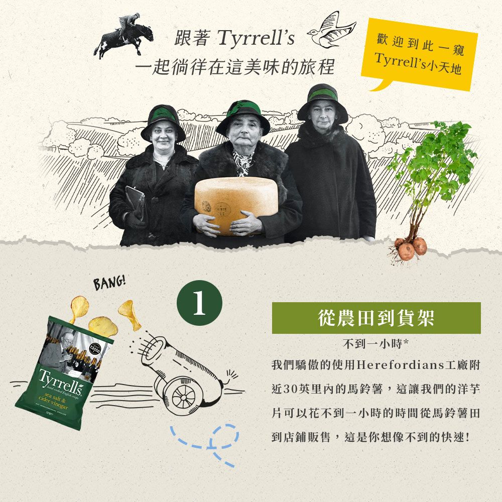 Tyrrell's 泰勒思 《Tyrrells 》英國洋芋片(口味多選/包)