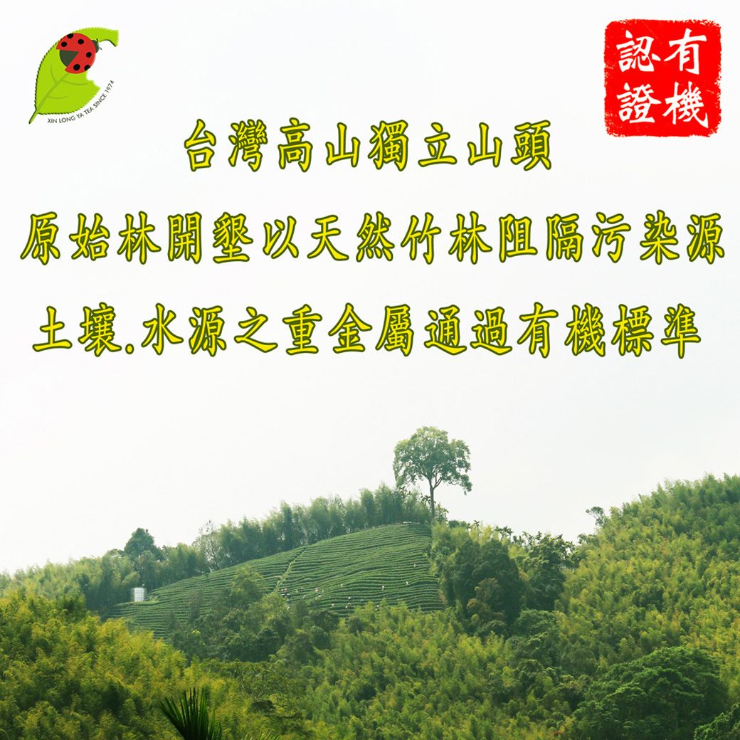 XIN LONG TEA SINCE 1974台灣高山獨立山頭認有證機原始林墾以天然竹林阻隔污染源土狼,水源之重金屬通過有機標準