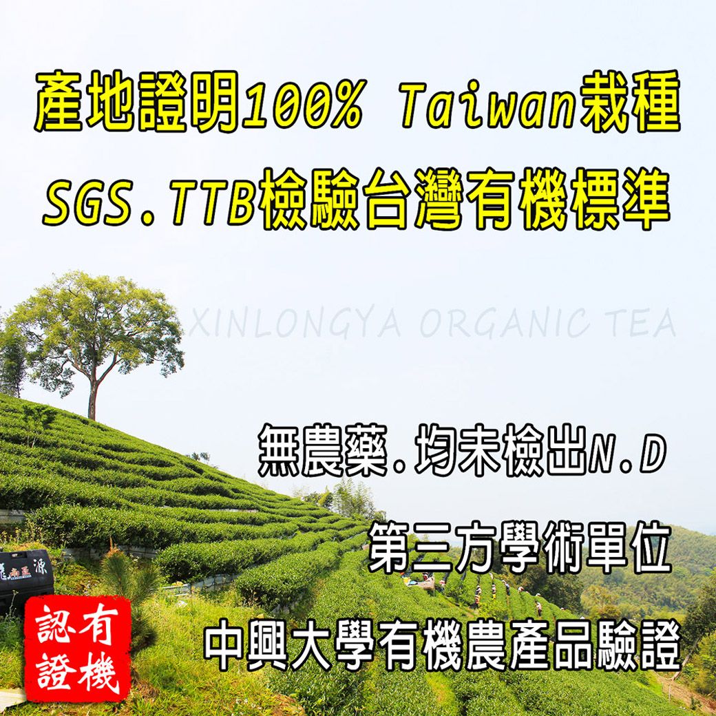 產地證明100% 檢驗台灣有機標準XINLONGYA ORGANIC TEA無第三方學術單位認有證機中興大學有機農產品驗證