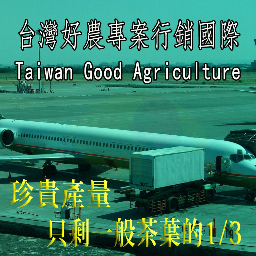 台灣好農專案行銷國際Taiwan Good Agriculture珍貴產量只剩一般茶葉的1/3