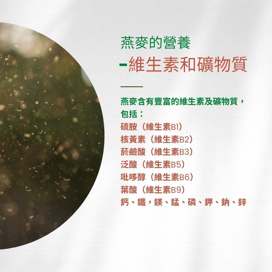 燕麥的營養-維生素和礦物質燕麥含有豐富的維生素及礦物質,包括:硫胺(維生素)核黃素(維生素B2)菸鹼酸(維生素B3)泛酸(維生素B5)吡哆醇(維生素B6)葉酸(維生素B9)鈣、鐵、鎂、、磷、鉀、鈉、鋅