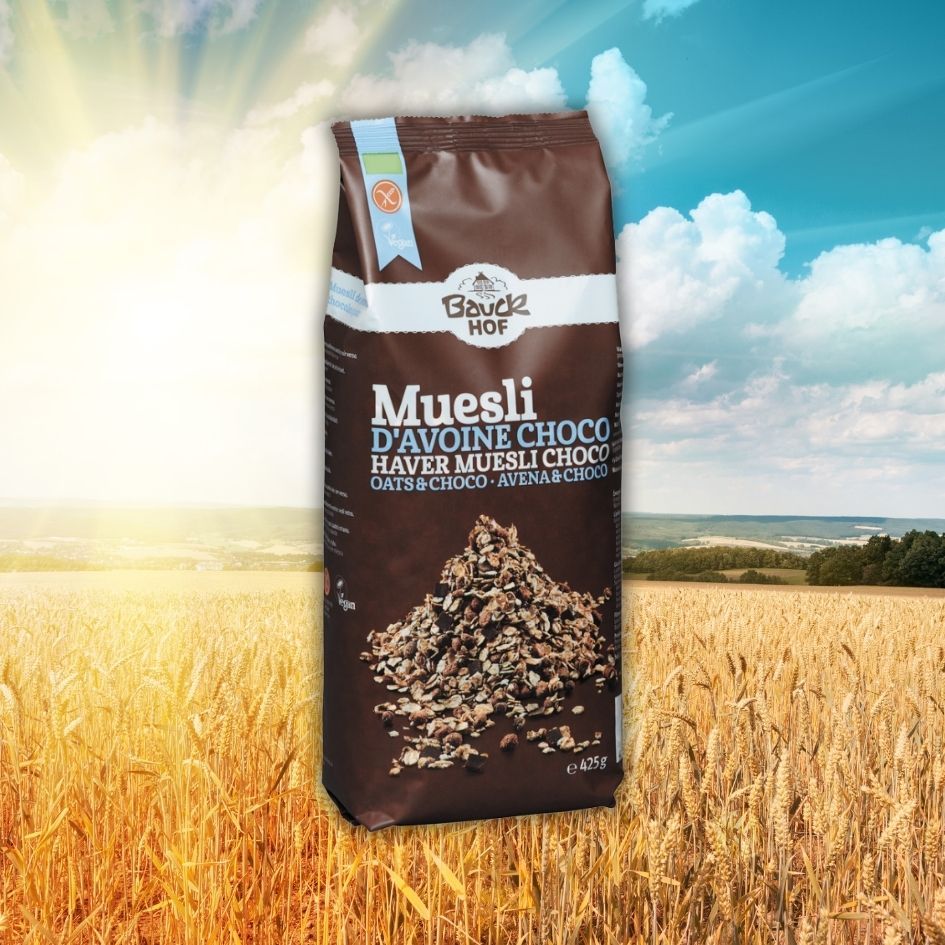 HOFMuesliDAVOINE CHOCOHAVER MUESLI CHOCOOATS&CHOCO AVENA&CHOCOe425g