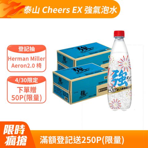 TAISUN 泰山 強氣泡水 500ml(24入X2箱)