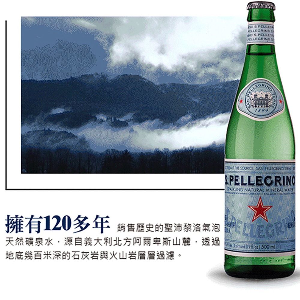 S.Pellegrino 聖沛黎洛 氣泡礦泉水 瓶裝1000ml(12入X2箱)