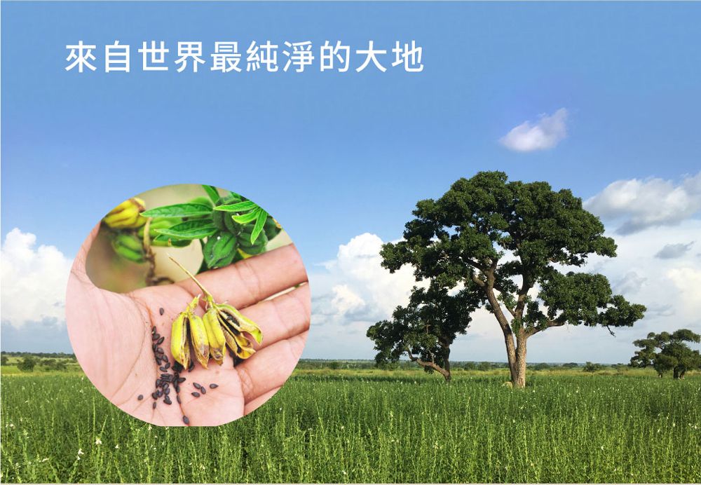 來自世界最純淨的大地