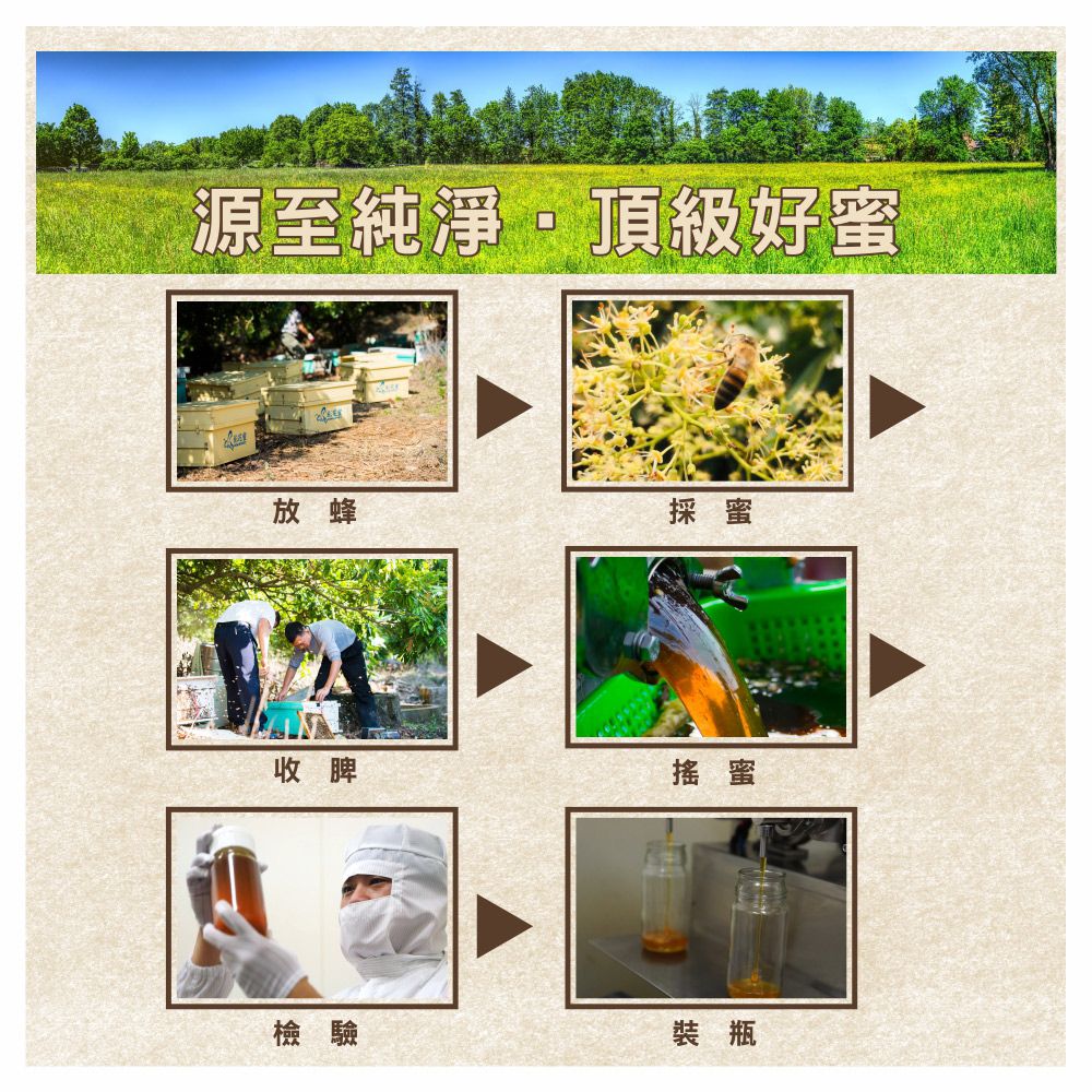 彩花蜜 台灣經典龍眼蜂蜜3000gx2