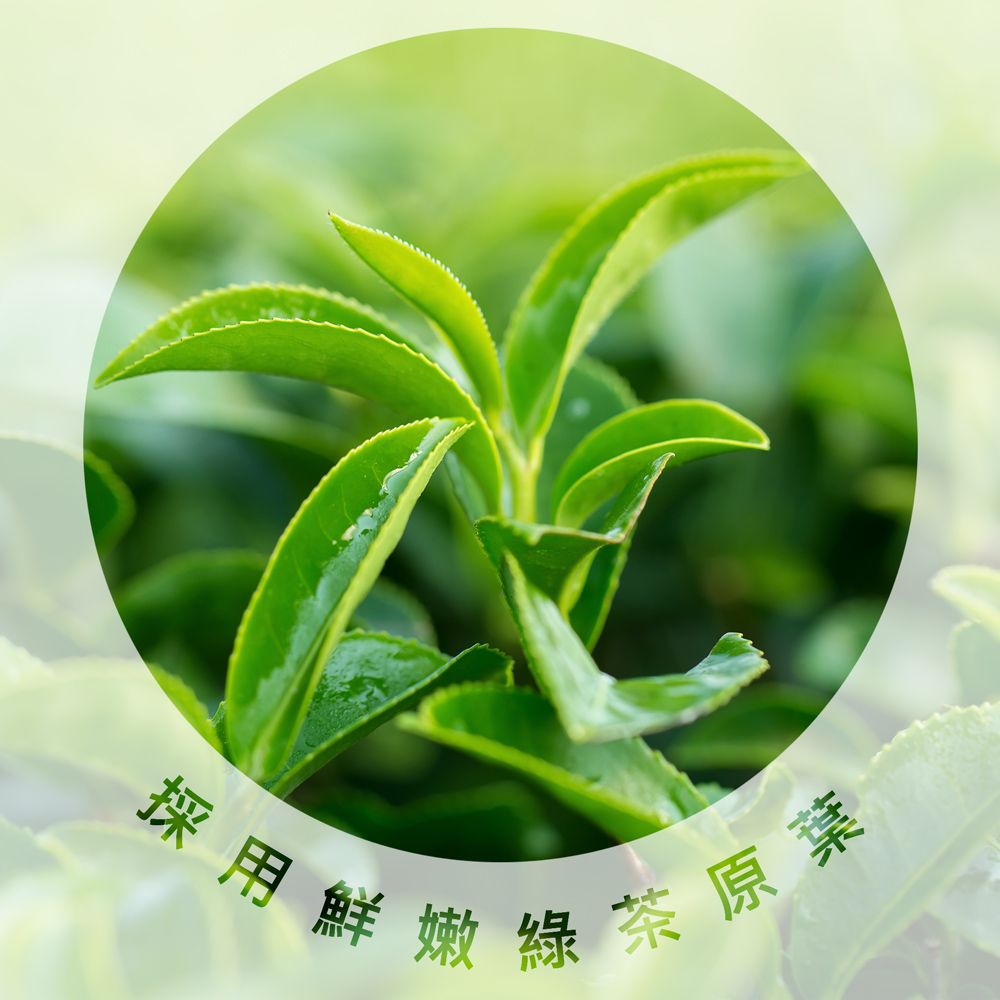 御奉 原葉研磨茶粉•日和抹茶拿鐵 12入/袋．8袋/組｜無反式脂肪•未添加麥芽糊精及人工香料色素