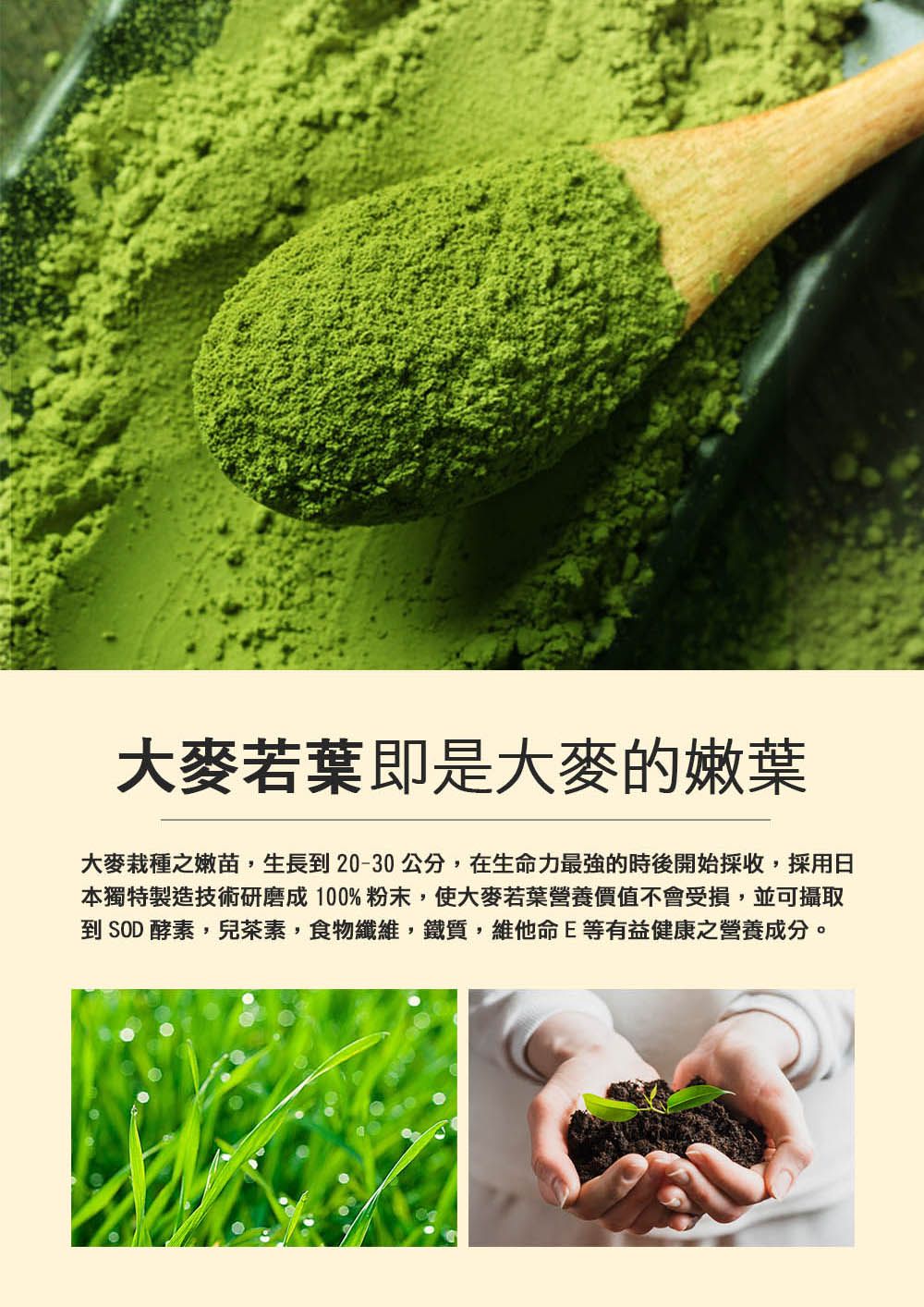 大麥若葉即是大麥的嫩葉大麥栽種之嫩苗,生長到20-30公分,在生命力最強的時後開始採收,採用日本獨特製造技術研磨成100%粉末,使大麥若葉營養價值不會受損,並可攝取到 SOD酵素,兒茶素,食物纖維,鐵質,維他命E等有益健康之營養成分。