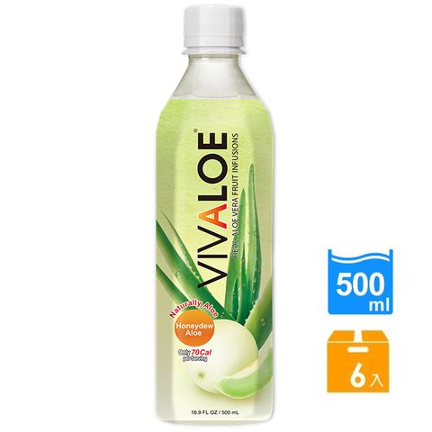 VIVALOE 哈密瓜 蘆薈綜合果汁500ml*6罐