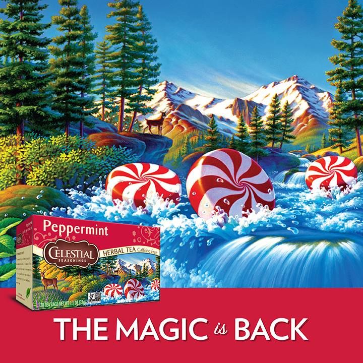 PeppermintCELESTIALSEASONINGSHERBAL    TEA     THE MAGIC  BACK