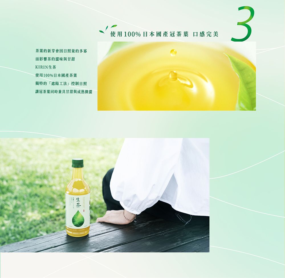 KIRIN 麒麟 生茶525ml(12入/箱)