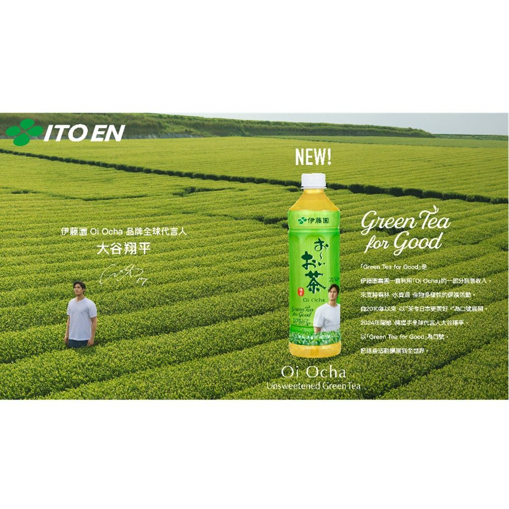 伊藤園 OiOcha綠茶530ml(24入/箱)x2箱