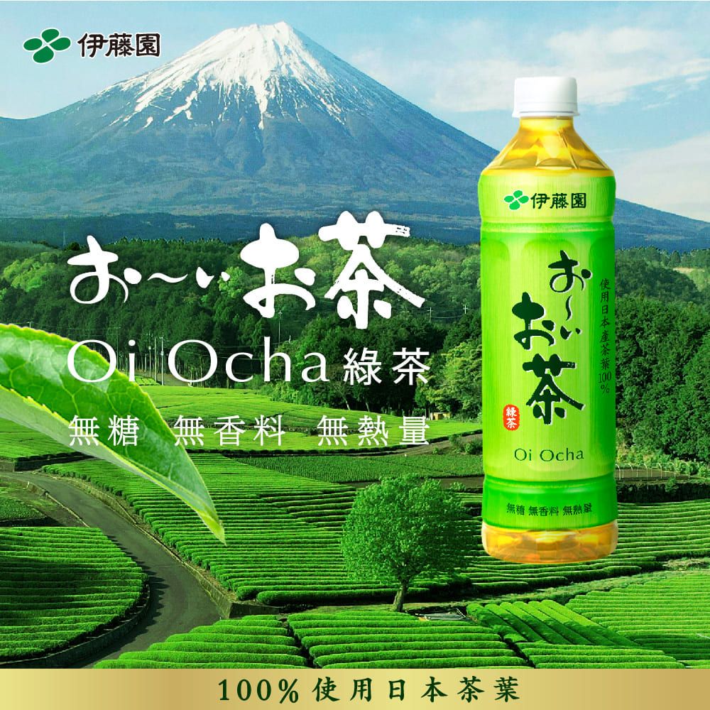 伊藤園 OiOcha綠茶530ml(24入/箱)x2箱