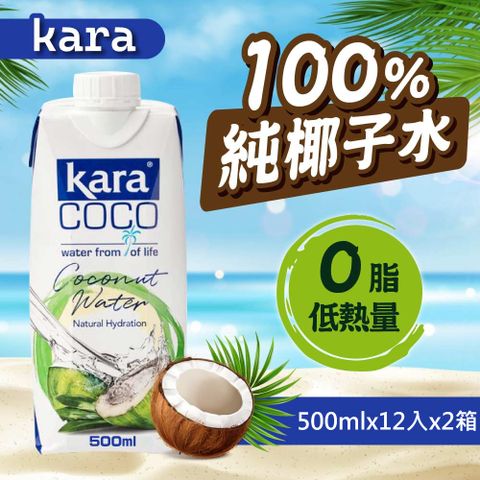 佳樂 椰子水500mlx12入x2箱