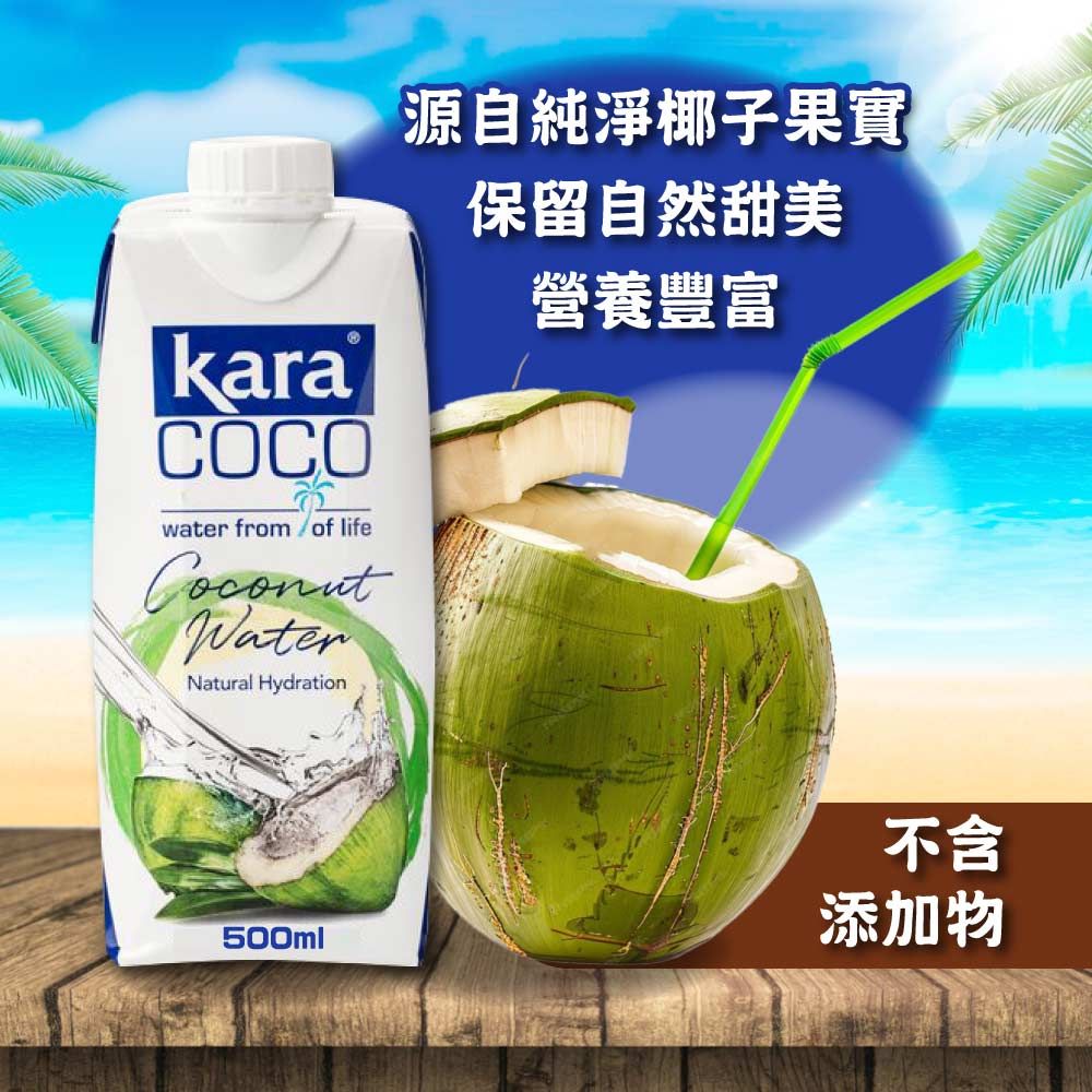 佳樂 椰子水500mlx12入x2箱