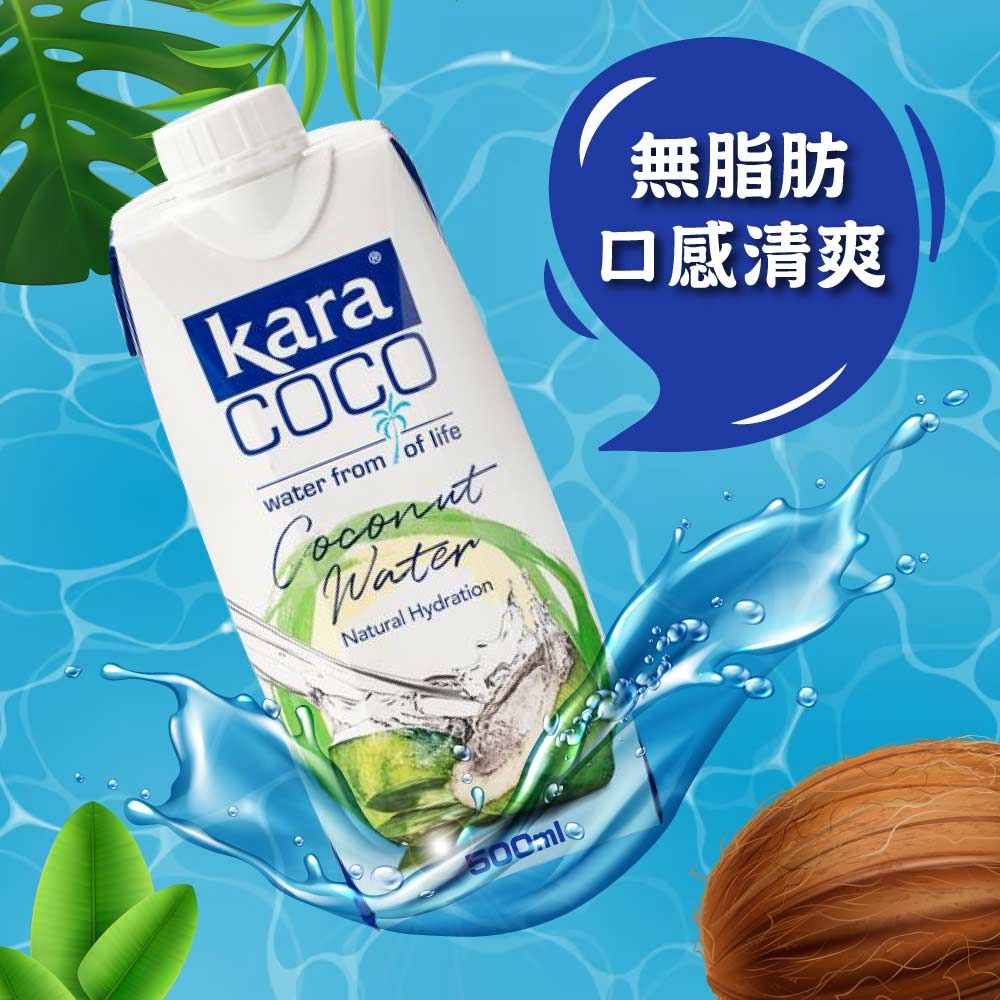 佳樂 椰子水500mlx12入x2箱