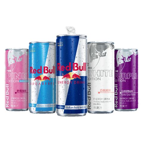【Red Bull 紅牛】能量飲料 250ml (24罐/箱) (任選)X2箱