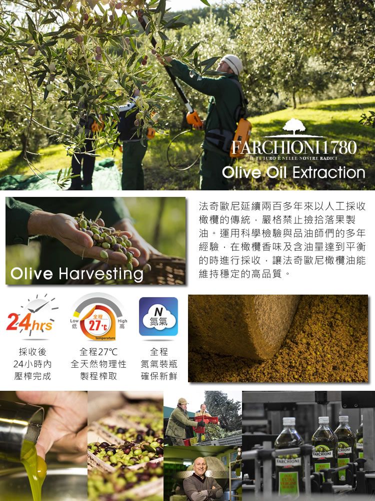 Olive HarvestingLow NHigh氮氣temperature採收後24小時全程27全程全天然物理性氮氣裝瓶壓榨完成製程榨取確保新鮮1780  NELLE NOSTRE RADICIOlive Oil Extraction法奇歐尼延續兩百多年來以人工採收橄欖的傳統嚴格禁止撿拾落果製油。運用科學檢驗與品油師們的多年經驗在橄欖香味及含油量達到平衡的時進行採收讓法奇歐尼橄欖油能維持穩定的高品質。FARCHIONI