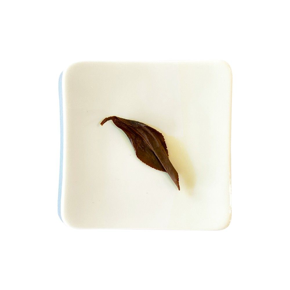 Wu Tsang 無藏茗茶 【無藏嚴選】日月潭 台茶18號紅玉紅茶—10g小鐵罐裝*5罐