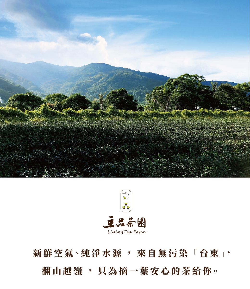 品Liping Tea Farm新鮮空氣、純淨水源,來自無污染「台」,翻山越嶺,只為摘安心的茶給你。