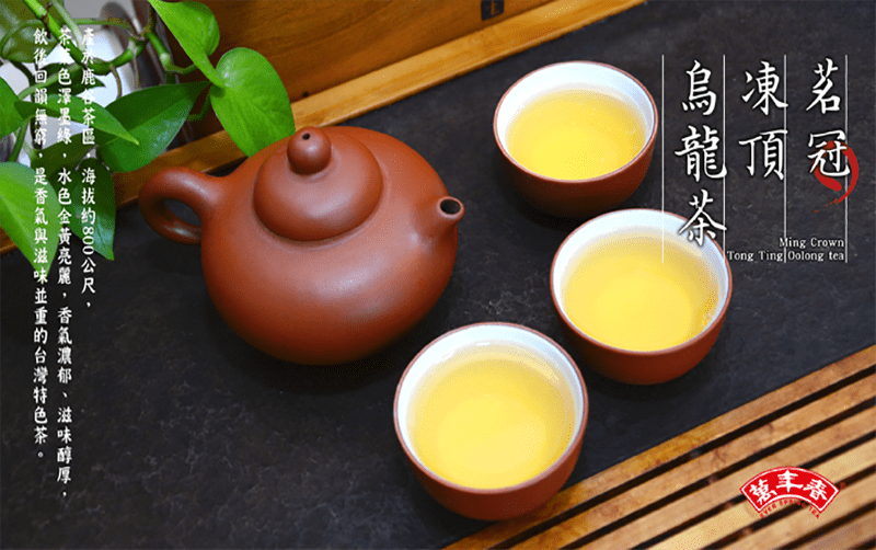 800公尺烏凍茗龍頂冠Ming CrownTong Ting Oolong tea春