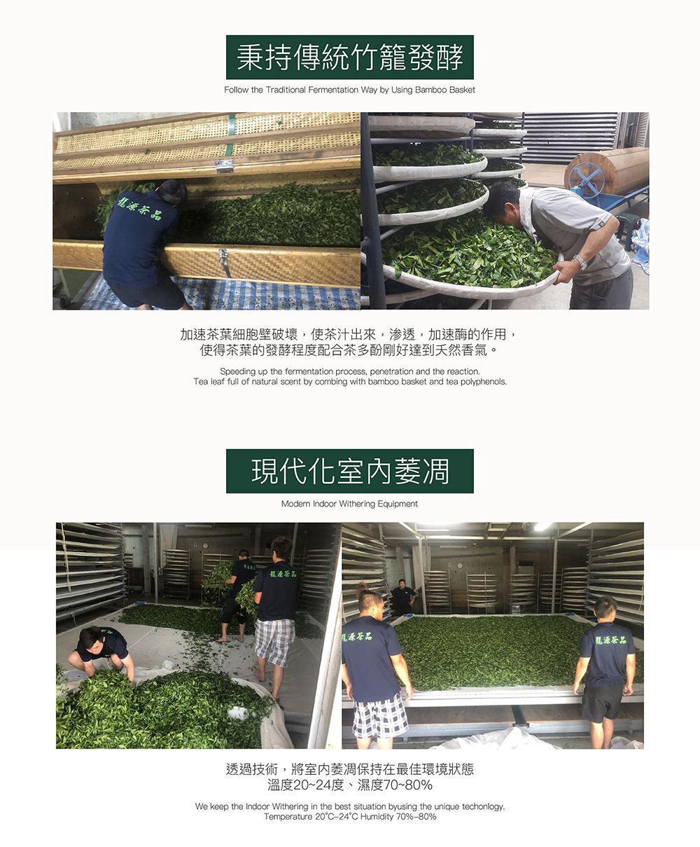 秉持傳統竹籠發酵Follow the Traditional Fermentation Way by Using Bamboo Basket加速茶葉細胞壁破壞,使茶汁出來,渗透,加速酶的作用,使得茶葉的發酵程度配合茶多酚剛好達到香氣。Speeding up the fermentation process, penetration and the reactionTea leaf full of natural scent by combing with bamboo basket and tea polyphenols現代化 Indoor Withering Equipment茶品龍源茶品龍源茶品透過技術,將室內萎凋保持在最佳環境狀態溫度20~24度、濕度70~80%We keep the Indoor Withering in the best situation byusing the unique techonlogy.Temperature 20°C-24°C Humidity 70%-80%