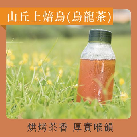 發現茶 -烏龍茶(20入茶包)