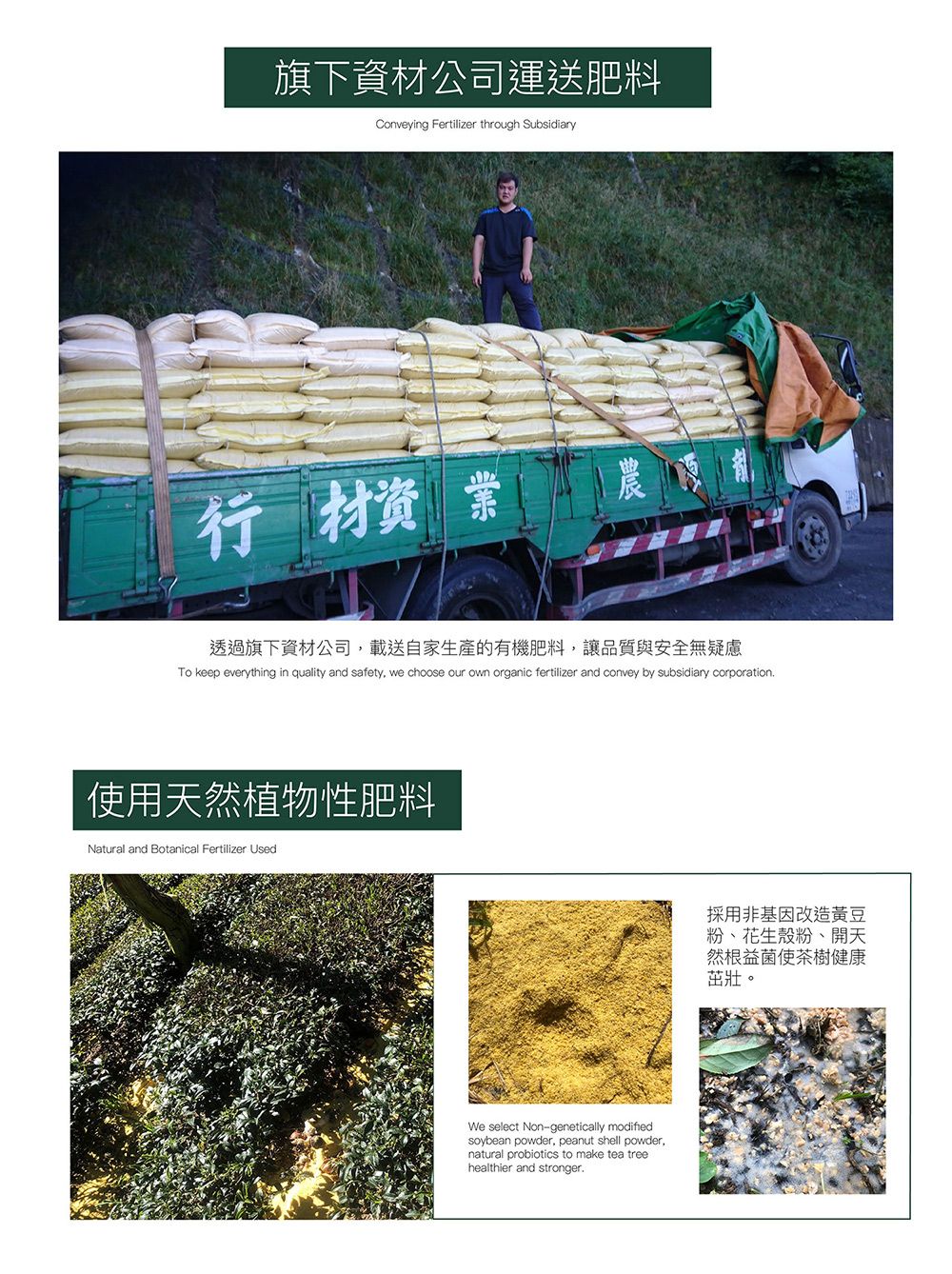 旗下資公司運送肥料Conveying Fertilizer through Subsidiary農行 材晨透過旗下資材公司,載送自家生產的有機肥料,讓品質與安全無疑慮To keep everything in quality and safety, we choose our own organic fertilizer and convey by subsidiary corporation使用天然植物性肥料Natural and Botanical Fertilizer UsedWe select Non-genetically modifiedsoybean powder, peanut shell powder,natural probiotics to make tea treehealthier and stronger採用非基因改造黃豆粉、花生殼粉、開天然根益菌使茶樹健康茁壯。