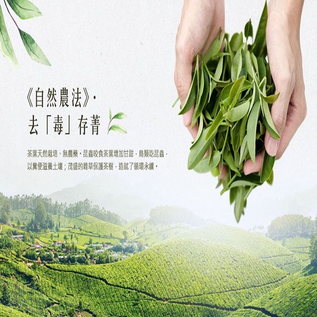 自然農法 熟香烏龍茶包(3gx25包x3盒)