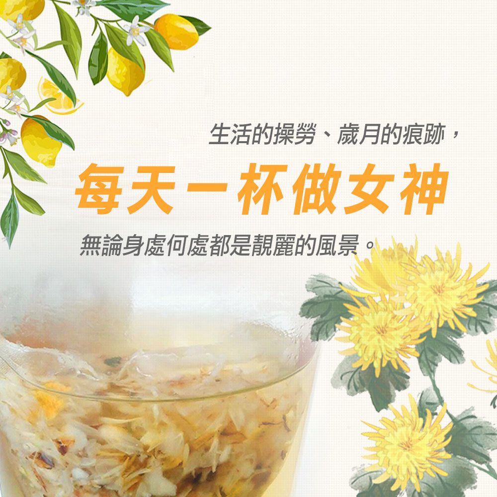  【蔘大王】檸檬菊花茶包X1組6gX10入/組可冷泡熱泡 檸檬多C解膩消暑 台灣菊花護3C光明退火